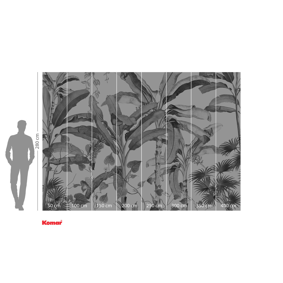 Komar  Vlies Fototapete Croissances Monochrome 400x280 cm Bild 3
