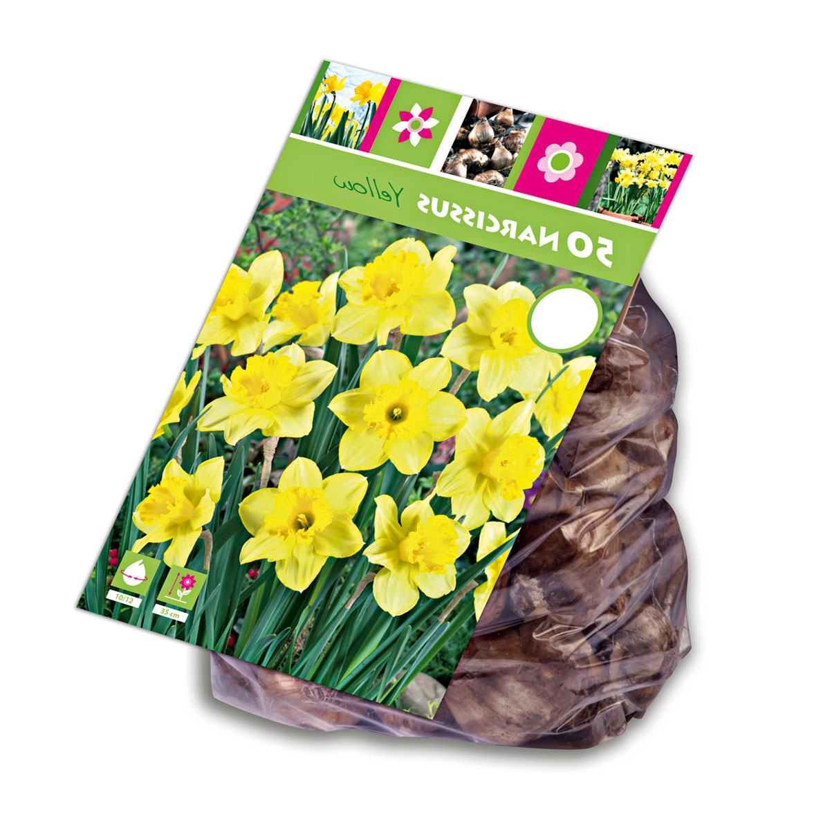 Blumenzwiebel Narzisse Rip van Winkle Topf Durchmesser 10,5 cm