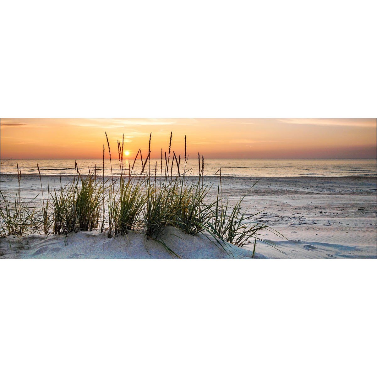 Glas-Art Lonely Dune 50 x 125 cm Glasbild Bild 1