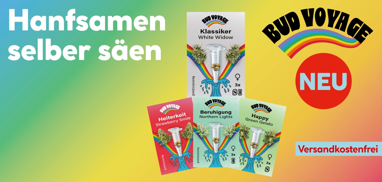 Hanfsamen selber säen: Bud Voyage NEU - Versandkostenfrei