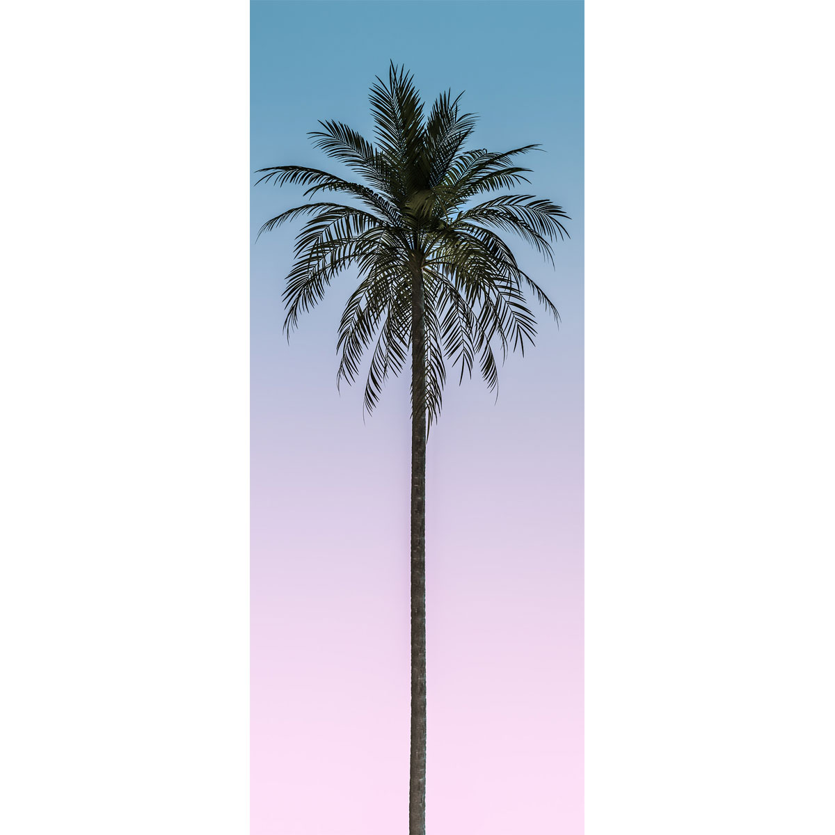 Komar  Vlies Fototapete Skyhigh Panel 100x250 cm Bild 2