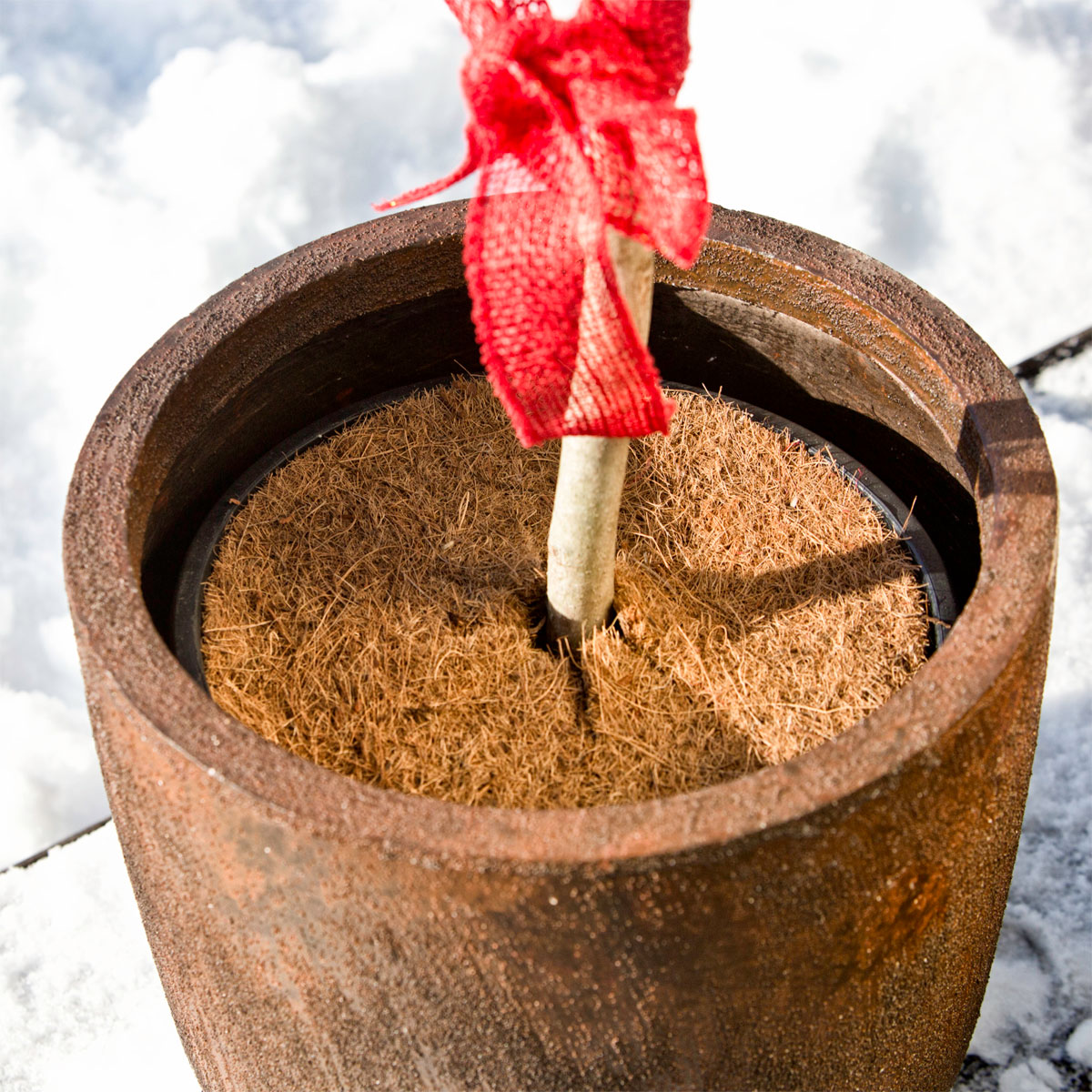 Windhager Mulchscheibe Cocodisc Durchmesser 25 cm