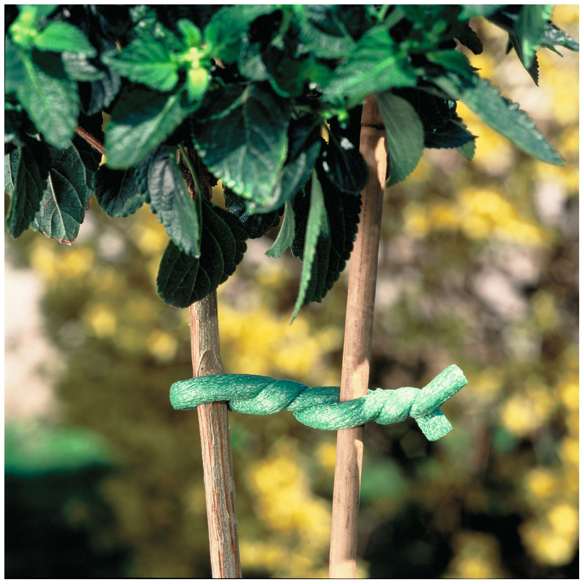 Windhager  Baumanbinder 10 m Durchmesser 8 mm