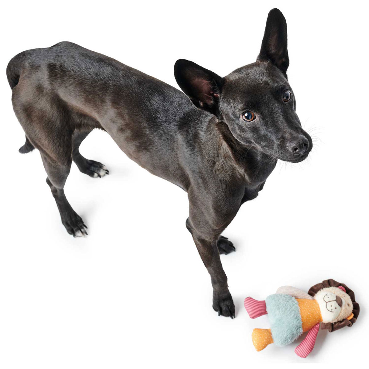 Hunter Hundespielzeug Muli Löwe mehrfarbig 18 cm Bild 2