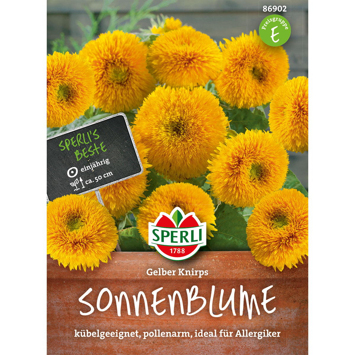 Sperli Sonnenblumen Gelber Knirps Bild 1