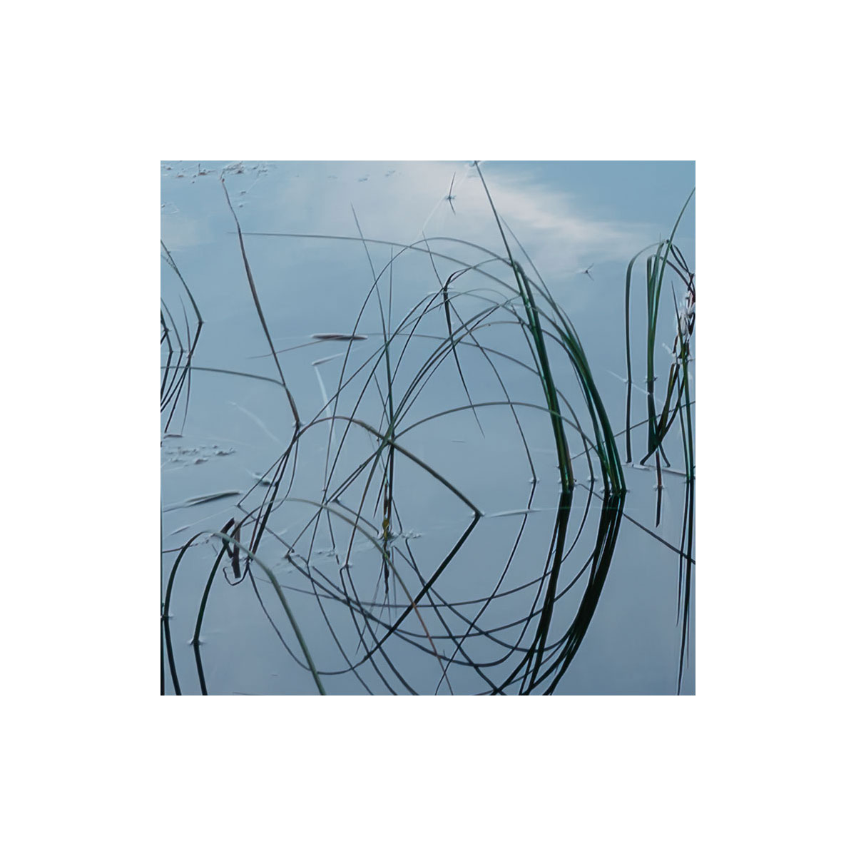 Komar  Vlies Fototapete Allgäu Spiegel 450x280 cm Bild 7