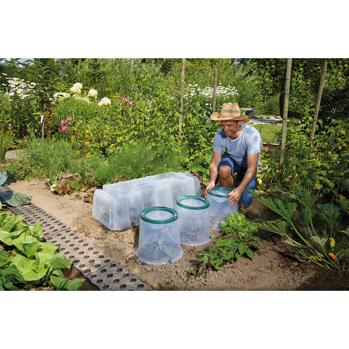 Garantia Pflanzglocken-Set Sunny 2-teilig Bild 5