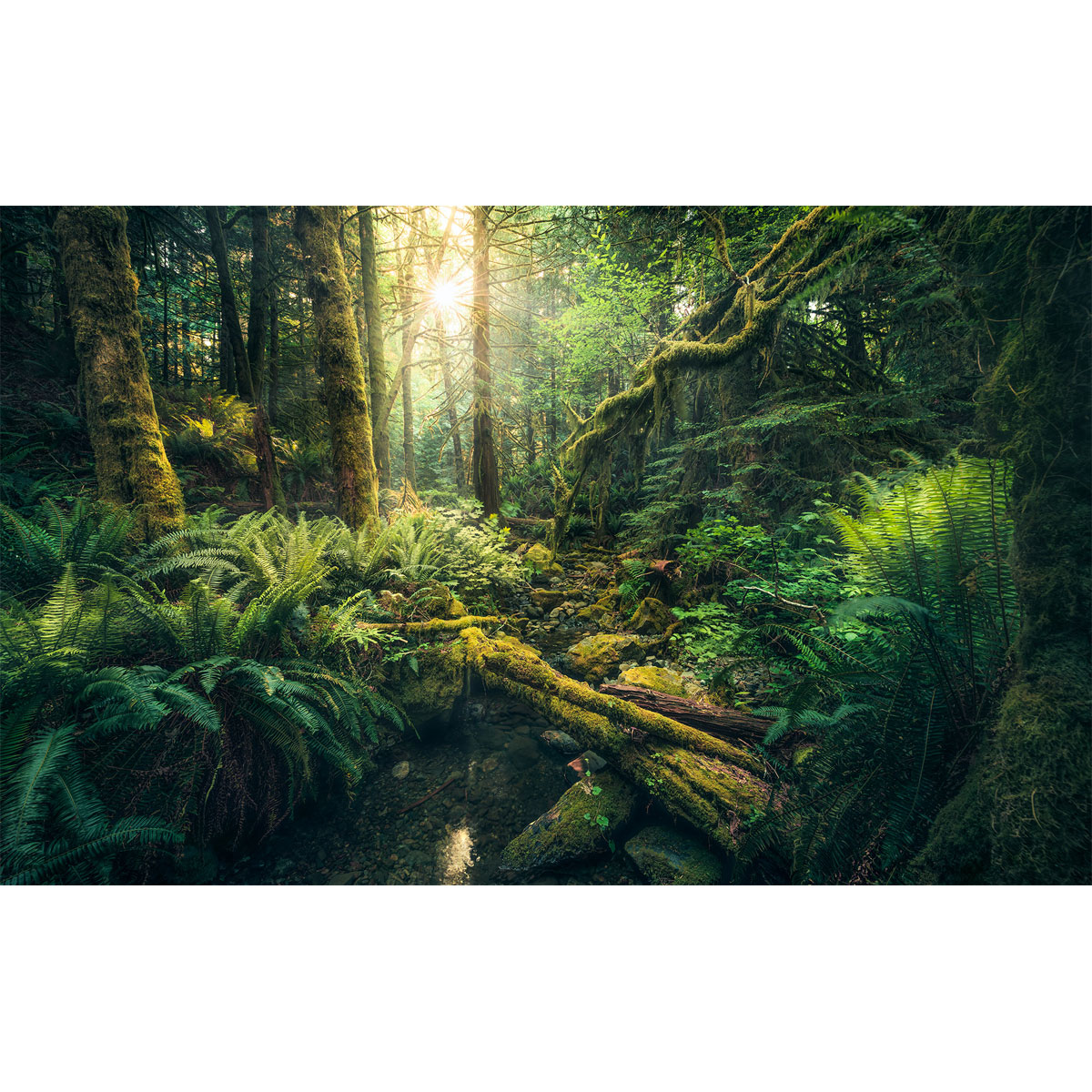 Komar  Vlies Fototapete Elves Cathedral 450x280 cm Bild 2