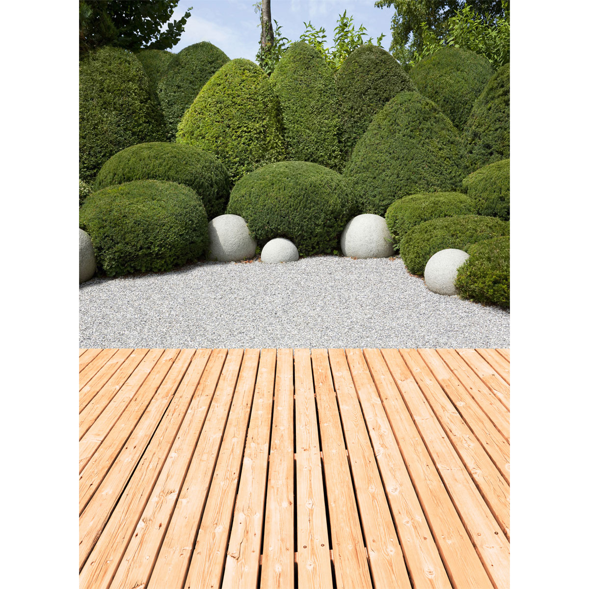 Rettenmeier Terrassendiele Douglasie 400 x 12 x 2,8 cm Bild 5