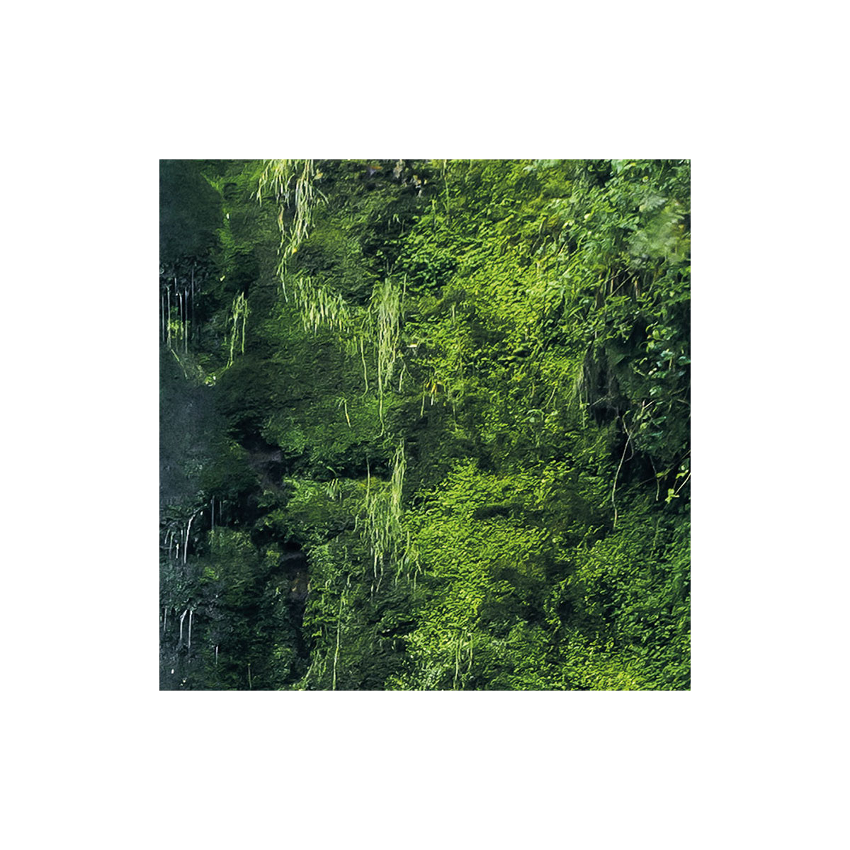 Komar  Vlies Fototapete Glenevin Falls 200x250 cm Bild 8