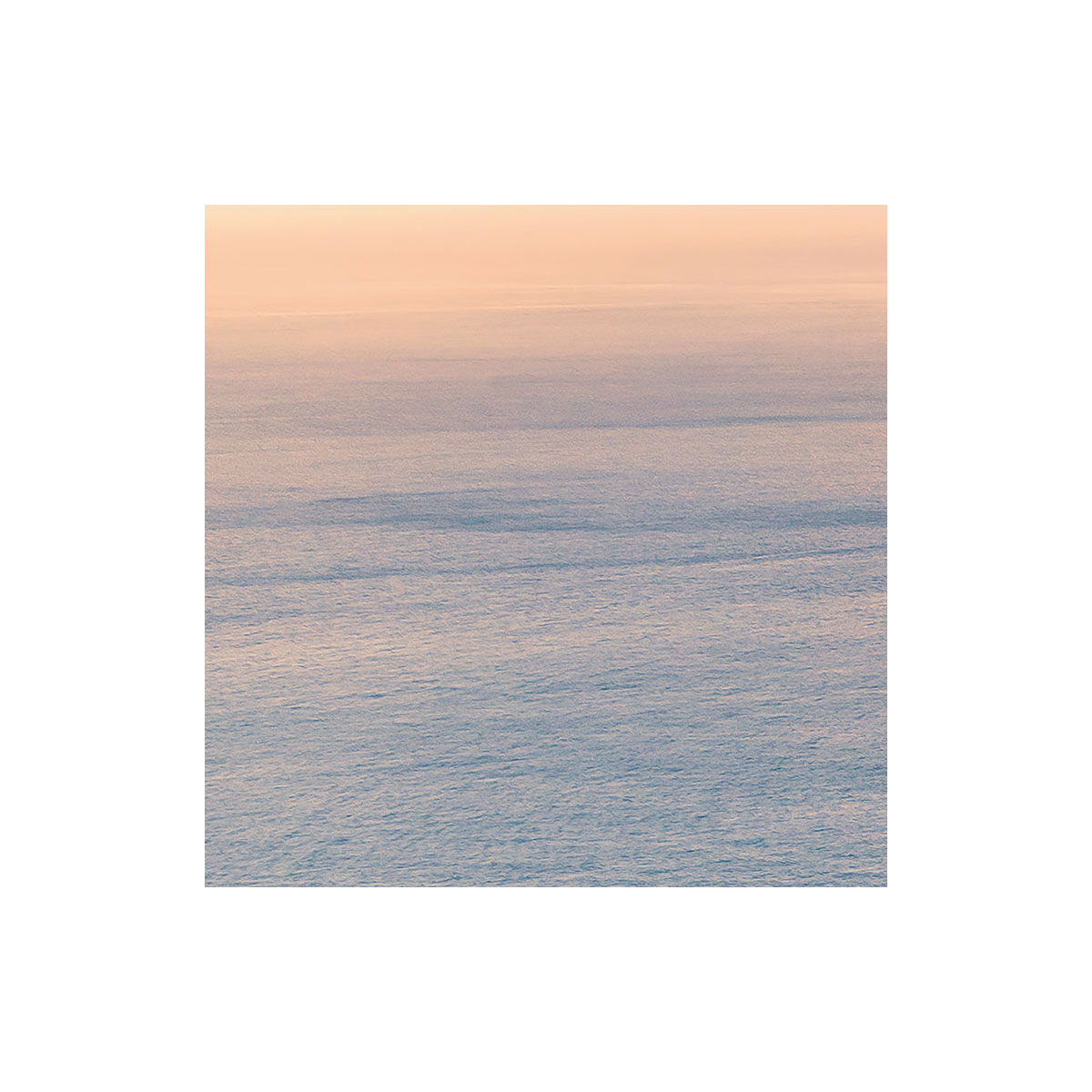 Komar  Vlies Fototapete Monkey Island 350x200 cm Bild 8