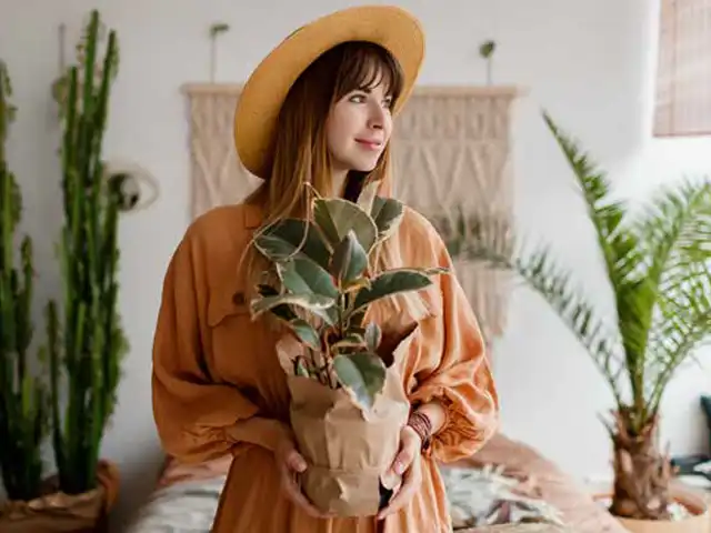 Eine Frau hält eine Zimmerpflanze in einem gemütlichen, mit Pflanzen dekorierten Raum.