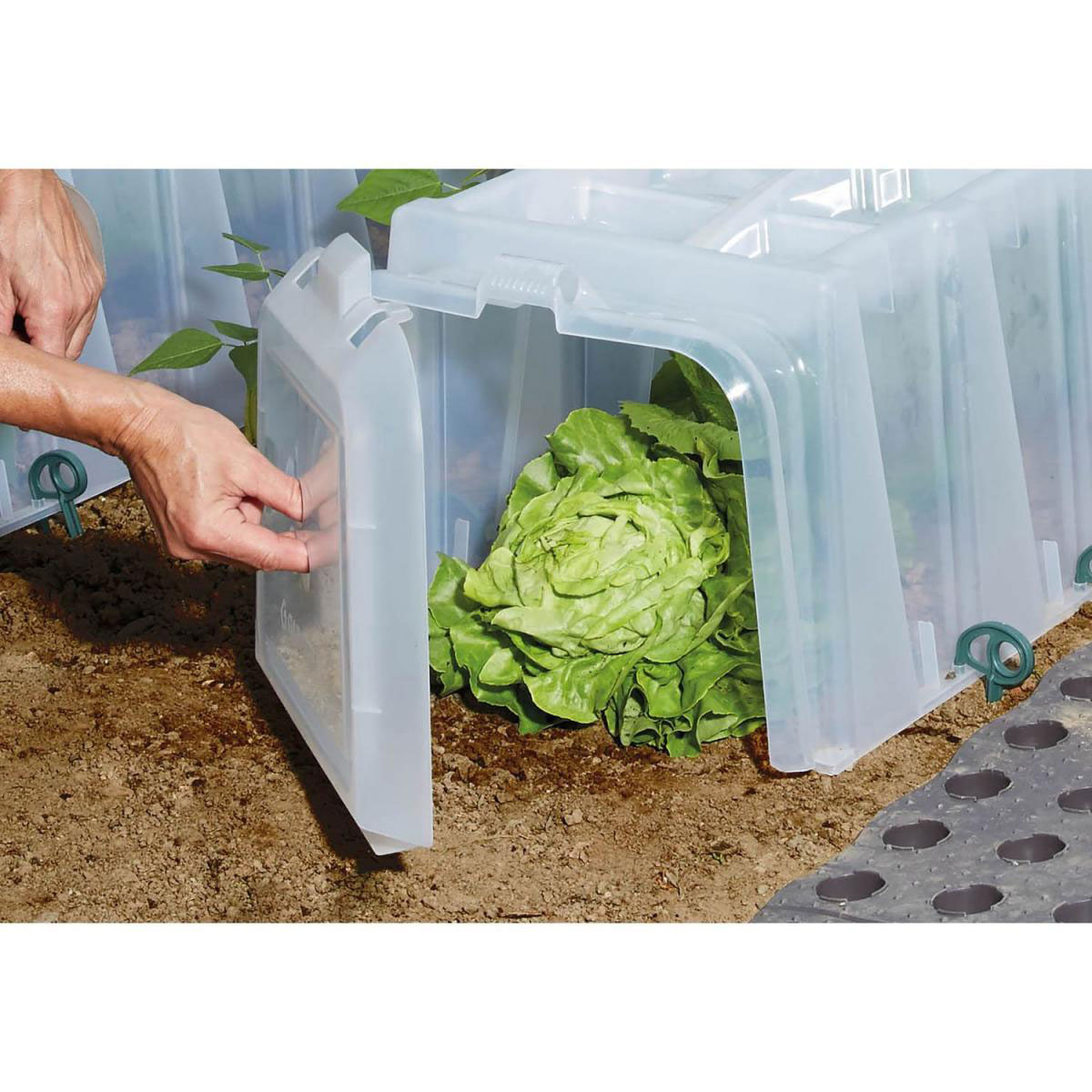 Garantia Endkappen-Set für Pflanztunnel SUNNY Bild 2