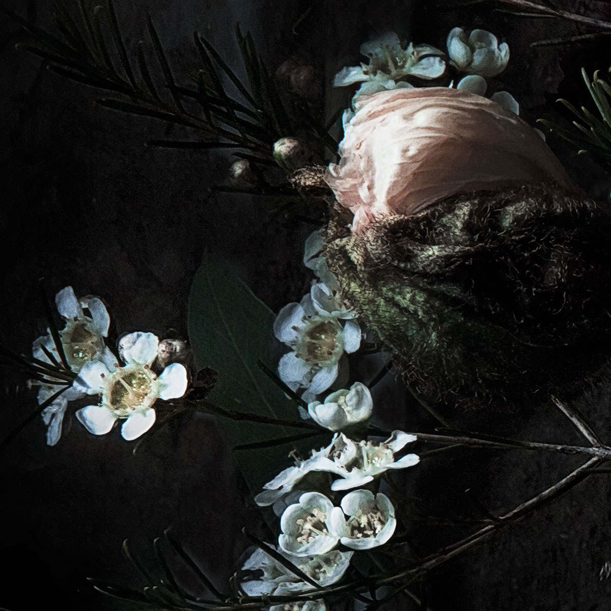 Komar  Papier Fototapete Still Life 368x254 cm Bild 6