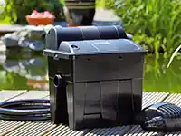 Ein schwarzer Filterkasten steht auf Holzplanken neben einem Teich mit grüner Vegetation.