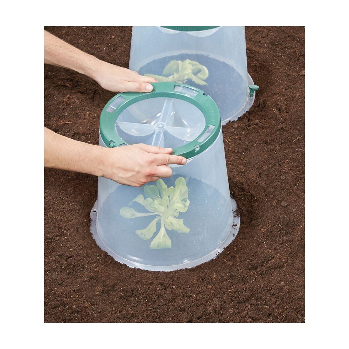 Garantia Pflanzglocken-Set Sunny 2-teilig Bild 7