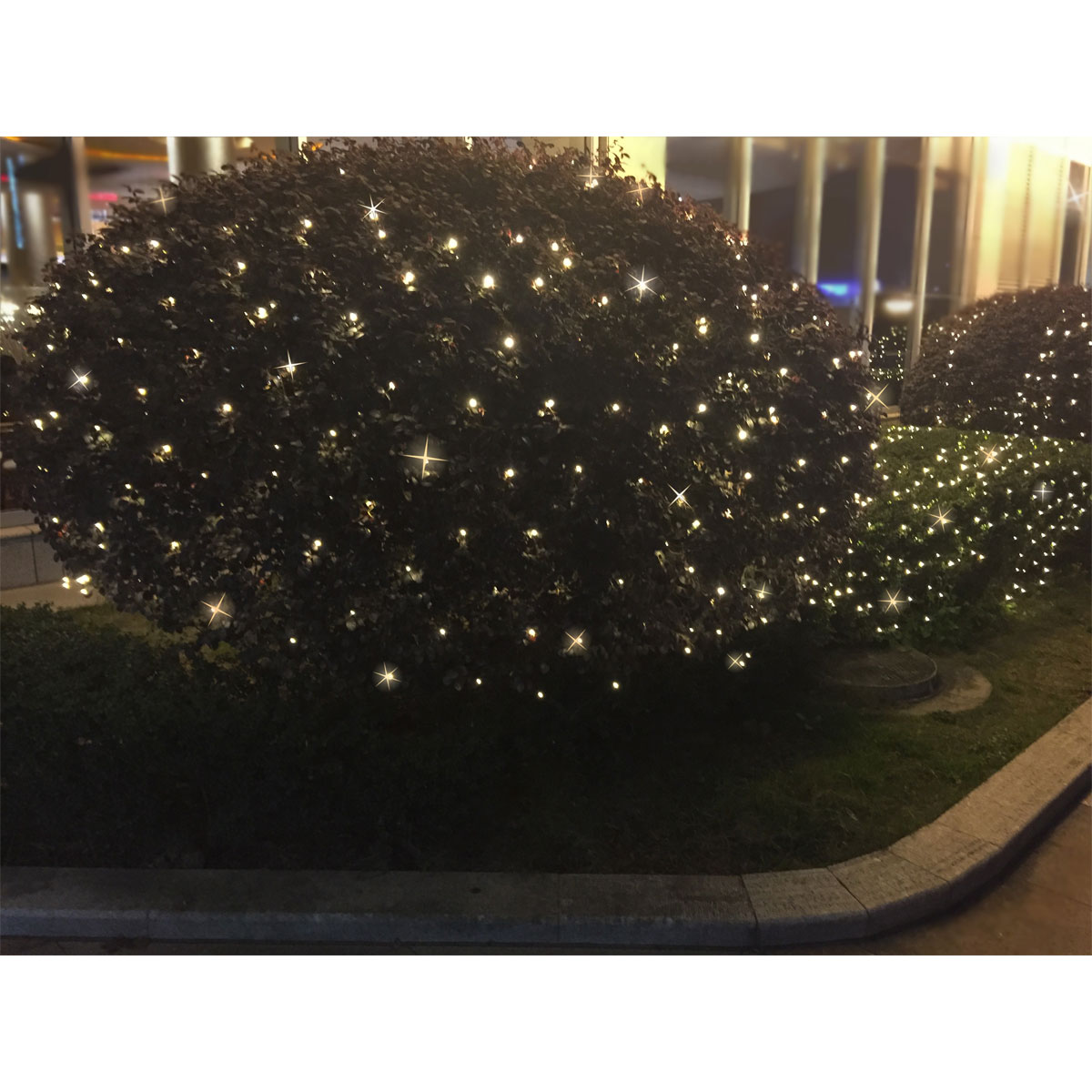 Batterielichternetz mit 160 warmweißen LED 2 x 2 m Bild 2