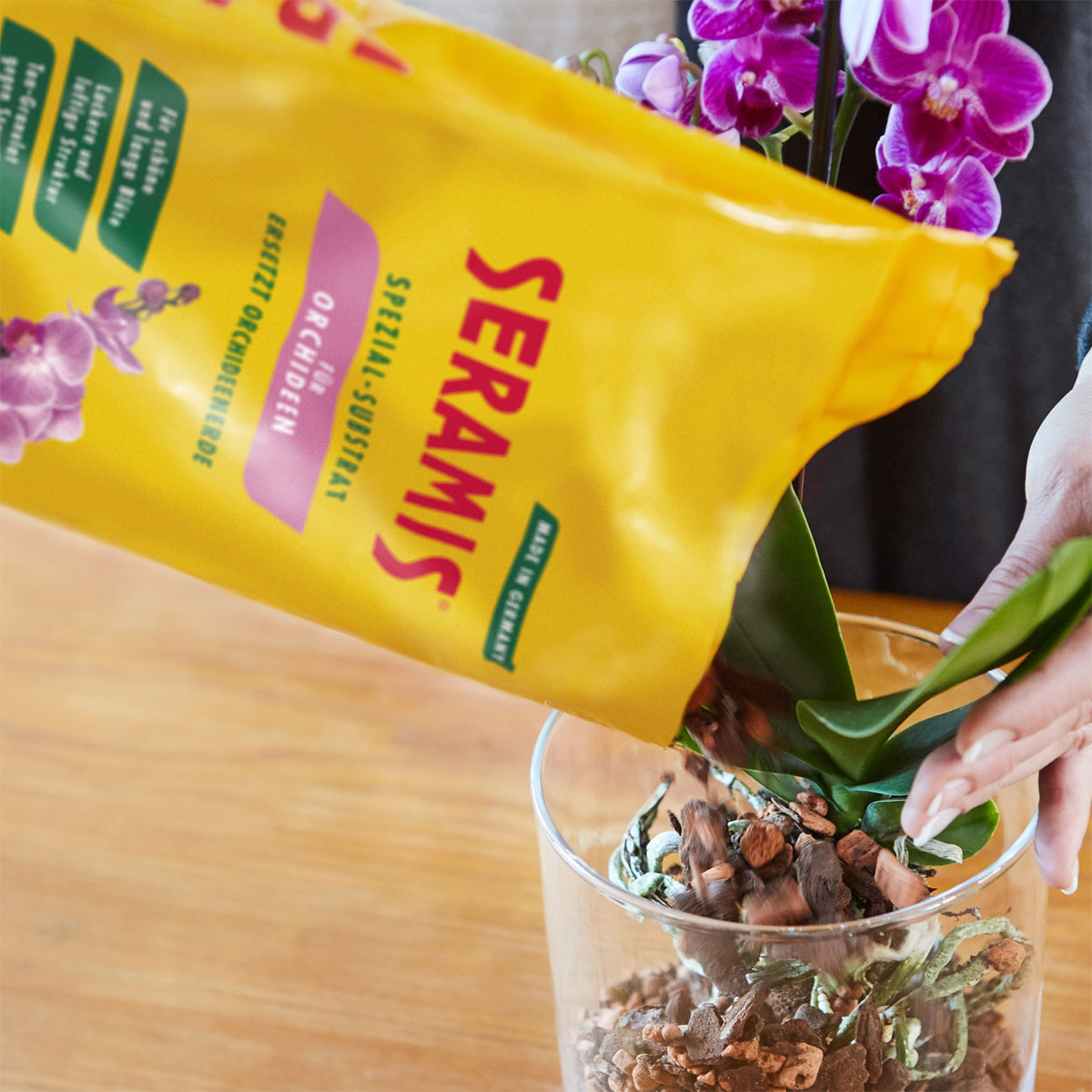 Seramis Spezial-Substrat für Orchideen 7 L Bild 5