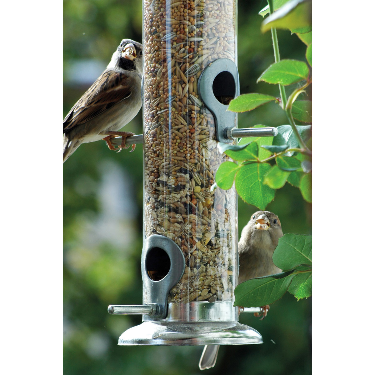 Futterspender 9,5 x 9,5 x 39 cm Metall Silber Bild 3