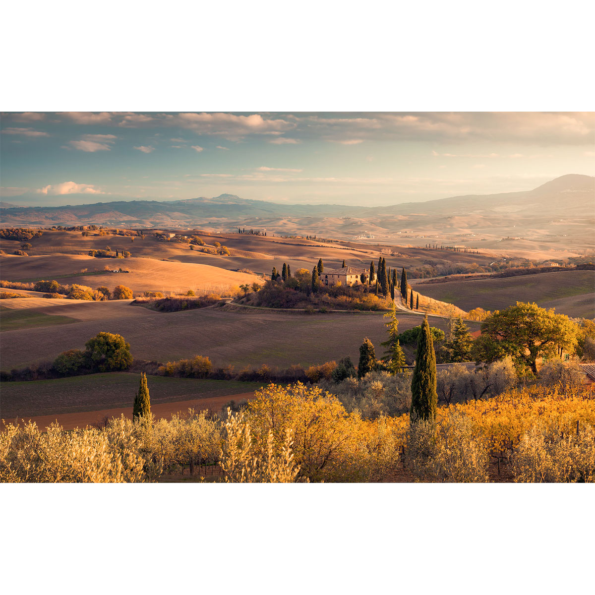 Komar  Vlies Fototapete Toskanagold 400x250 cm Bild 2