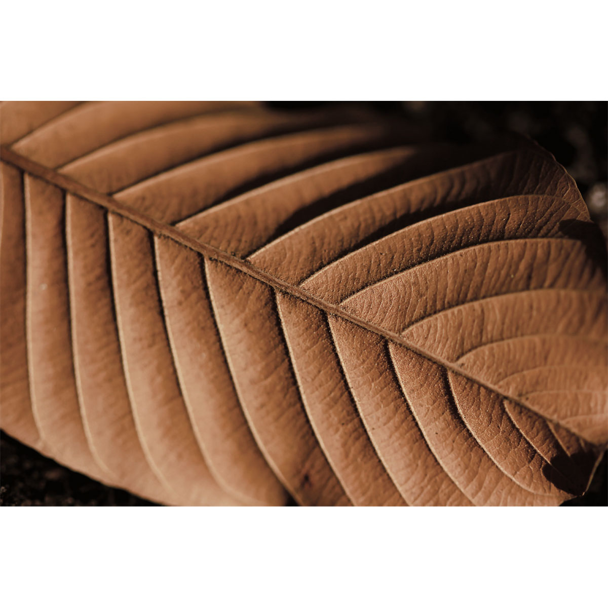 Vincent Wandfarbe Edle Farben Sonnentaler 2,5 L Bild 3