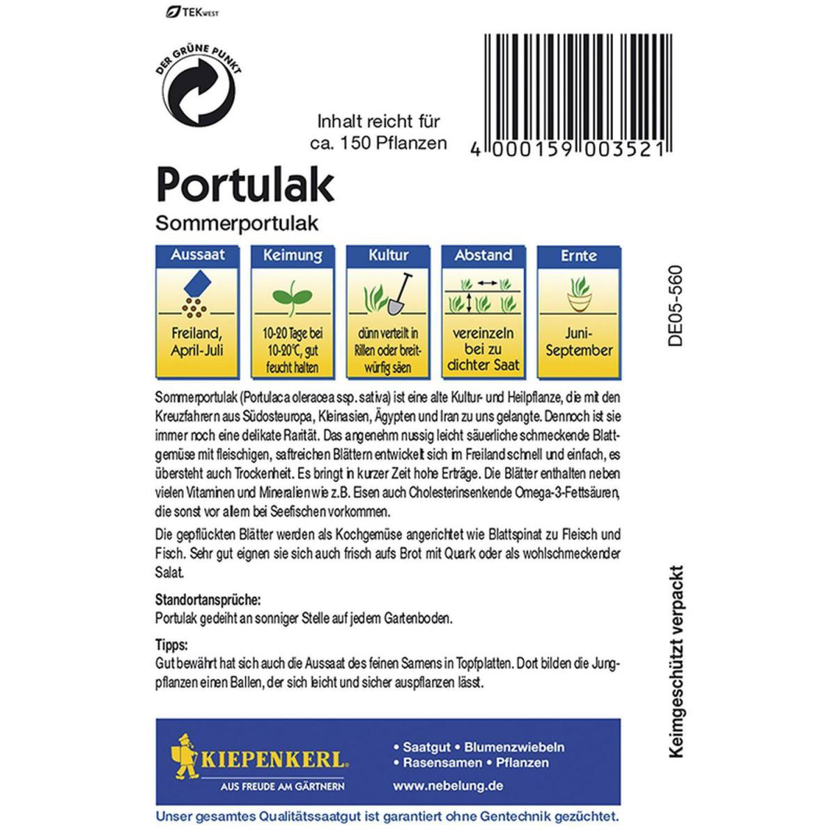 Kiepenkerl Sommerportulak Bild 2