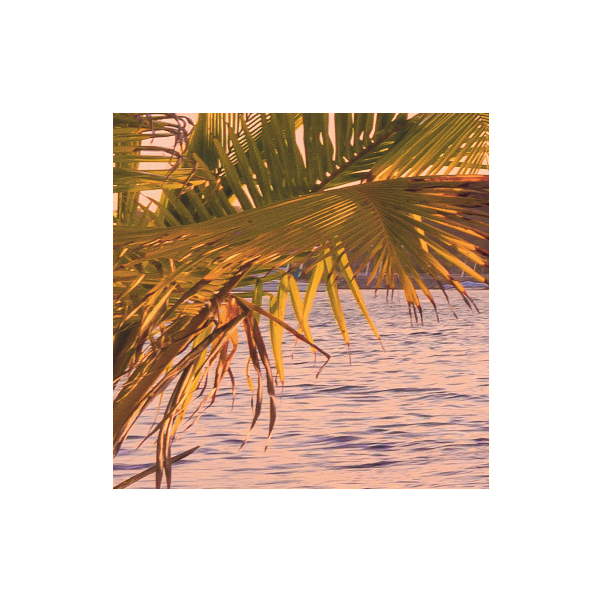 Komar  Vlies Fototapete Reaching the Sun 400x250 cm Bild 4