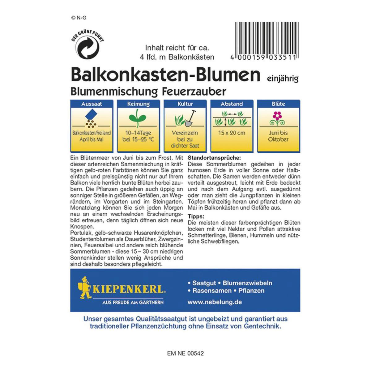 Kiepenkerl Balkonkastenblumen Feuerzauber Profi-Line Bild 2