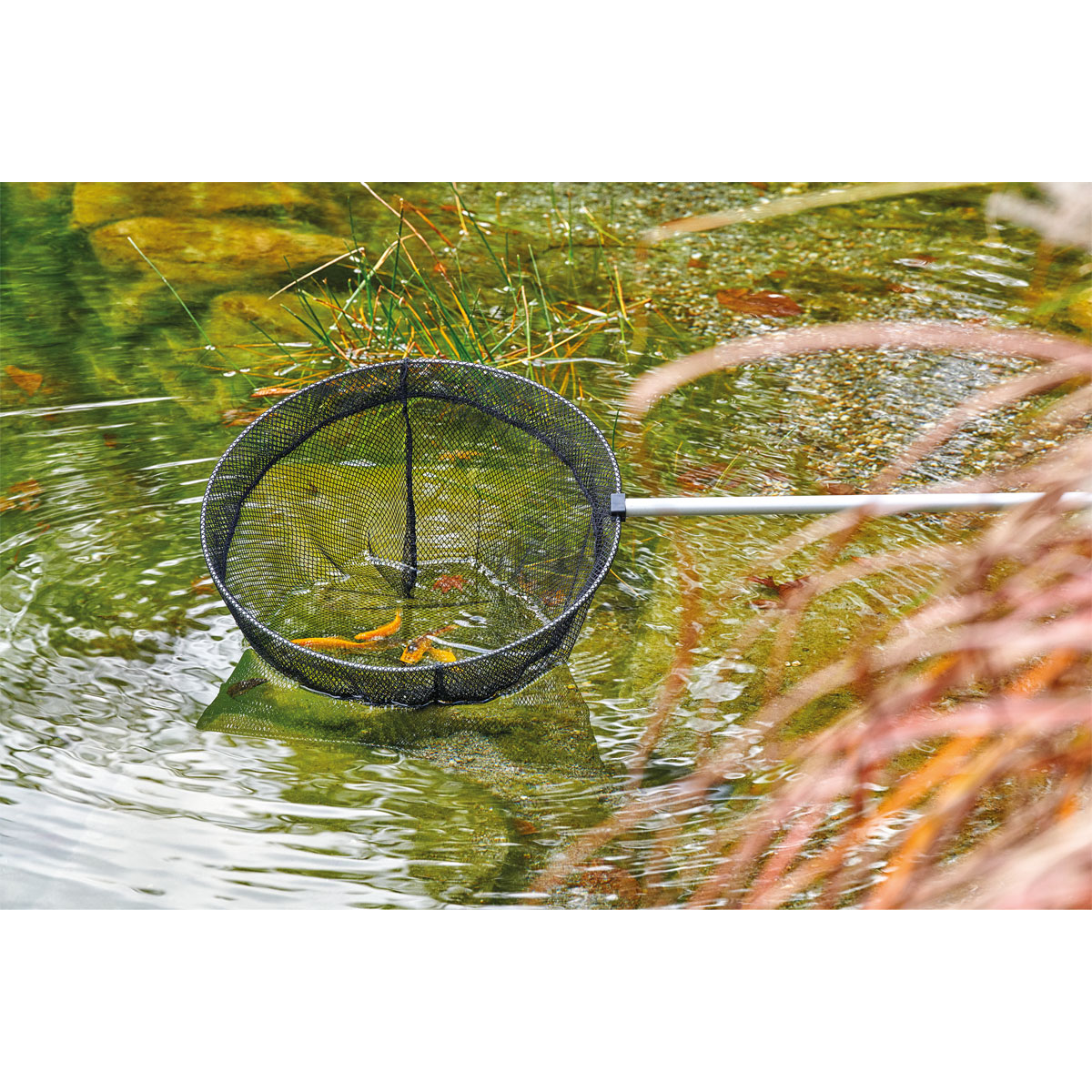 Oase Teleskop-Fischkescher rund 113-180 cm Bild 3