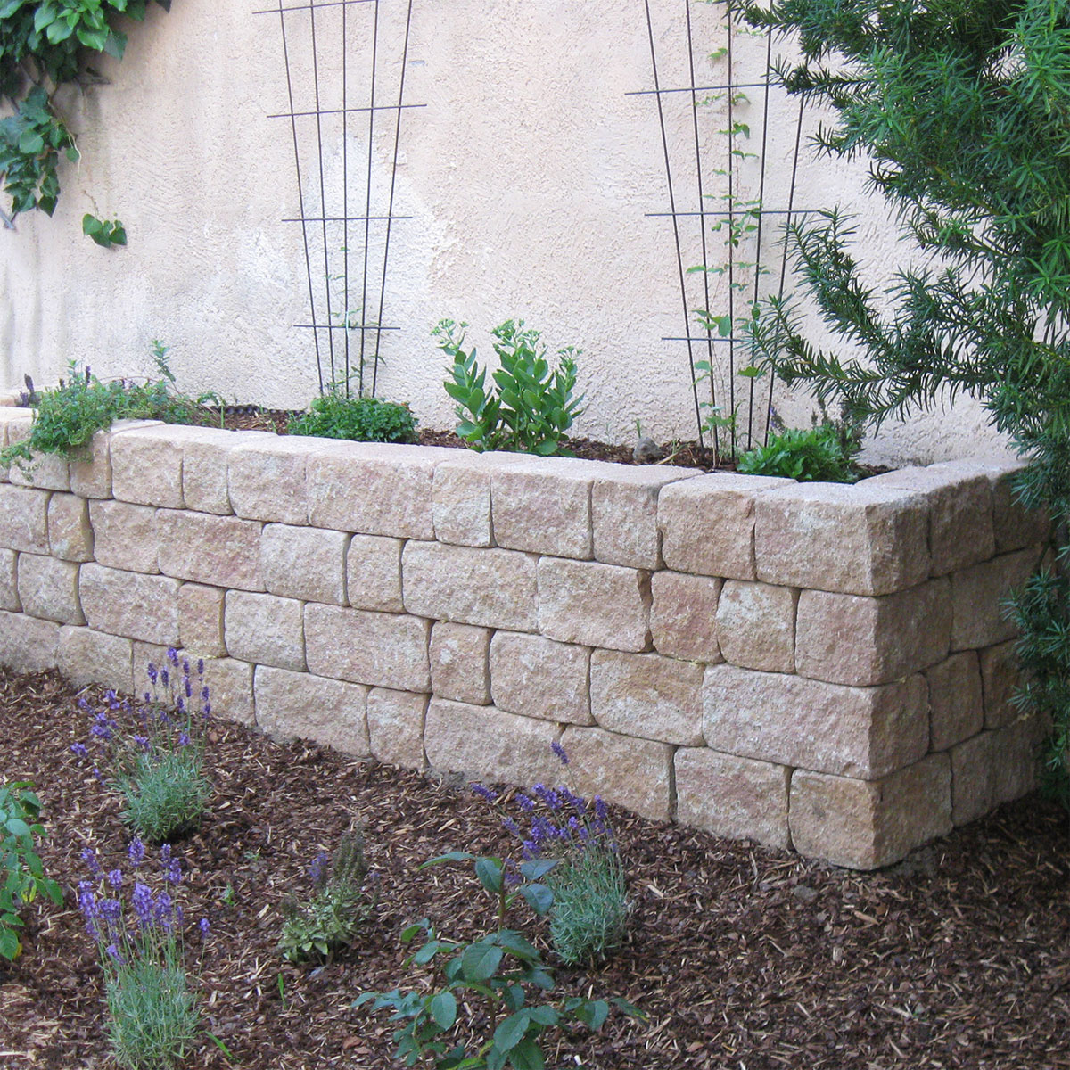 Diephaus  Mauerstein Cup-Mini Sandstein 35 x 16,5 x 15 cm Bild 2