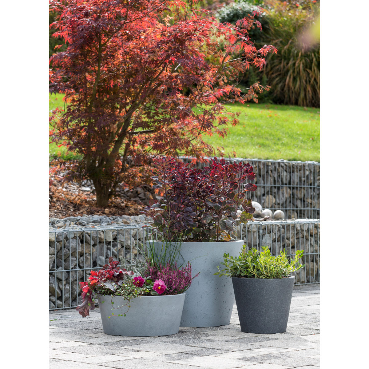 Scheurich Pflanzschale C-Cone BxHxT 38,9 x 17,5 x 38,9 cm Stony Black Bild 2