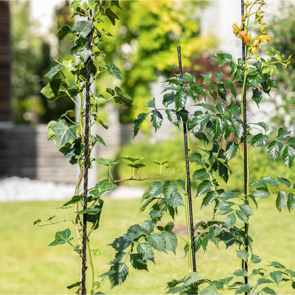 Windhager  Fiberglas Pflanzstab 120 cm Durchmesser 8 mm