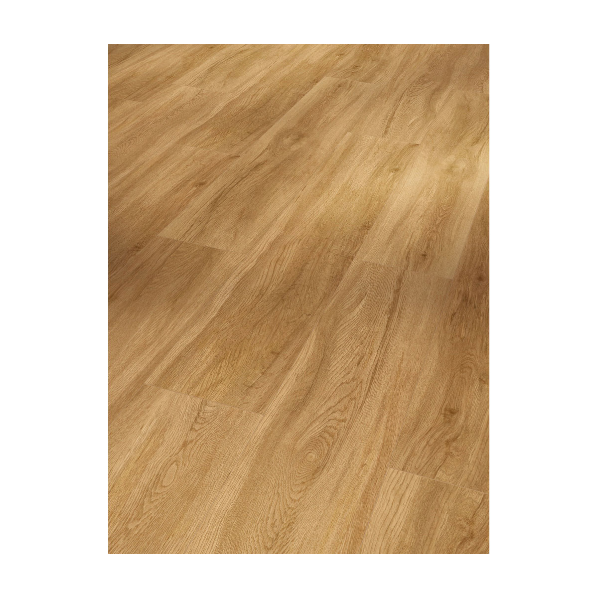 Parador Vinylboden Basic 5.3 Eiche Sierra Natur gebürstete Struktur 22,5 x 120,9 cm