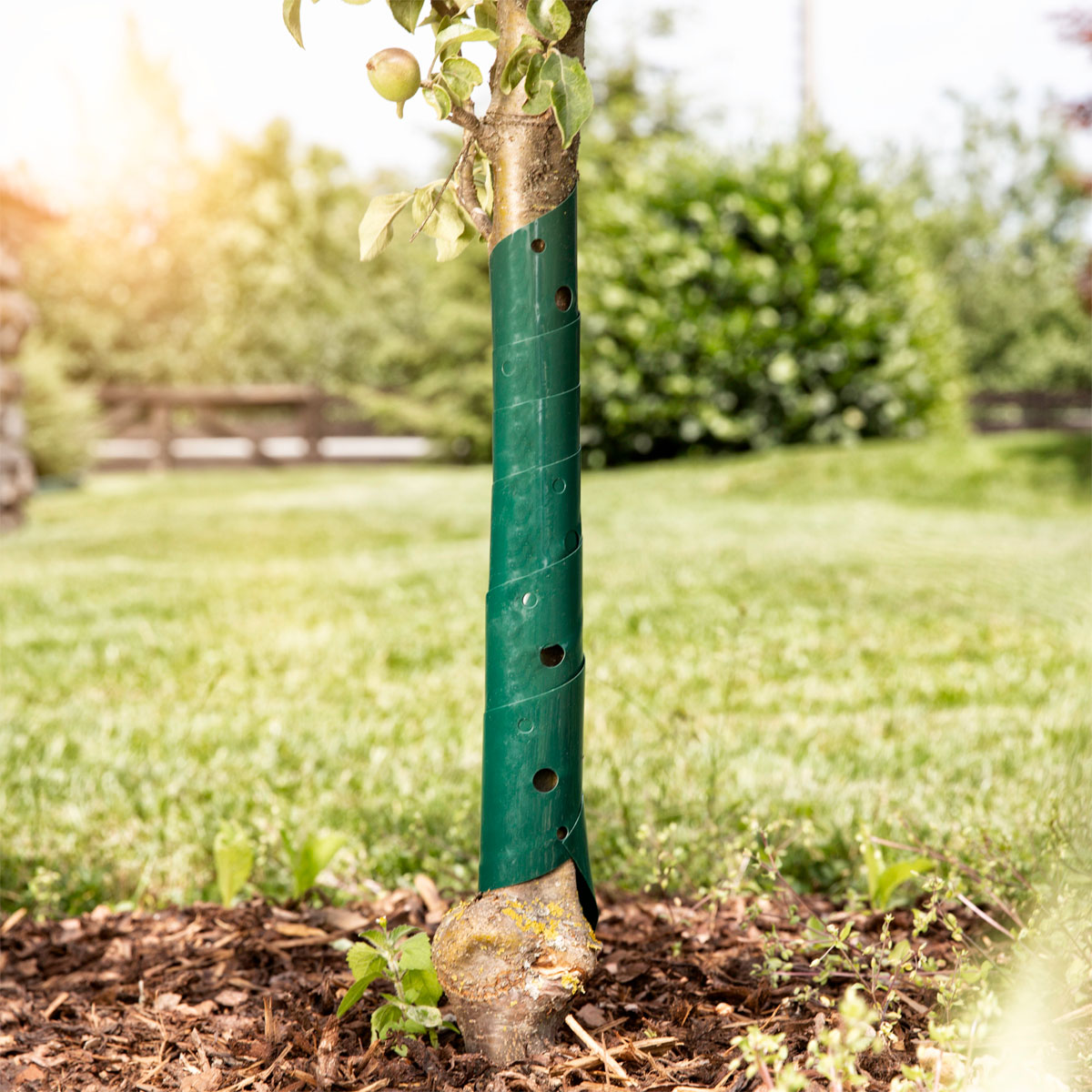 Windhager  Baumschutzspiralen 60 cm 2 Stück