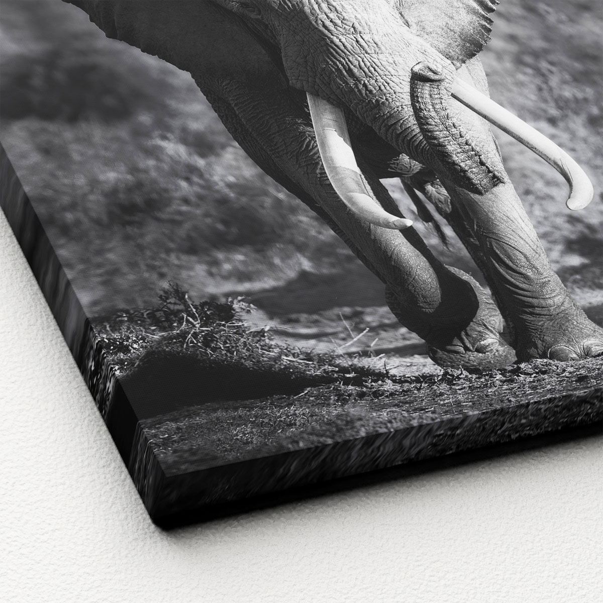 Canvas-Art Elefant 30 x 30 cm Bild 2