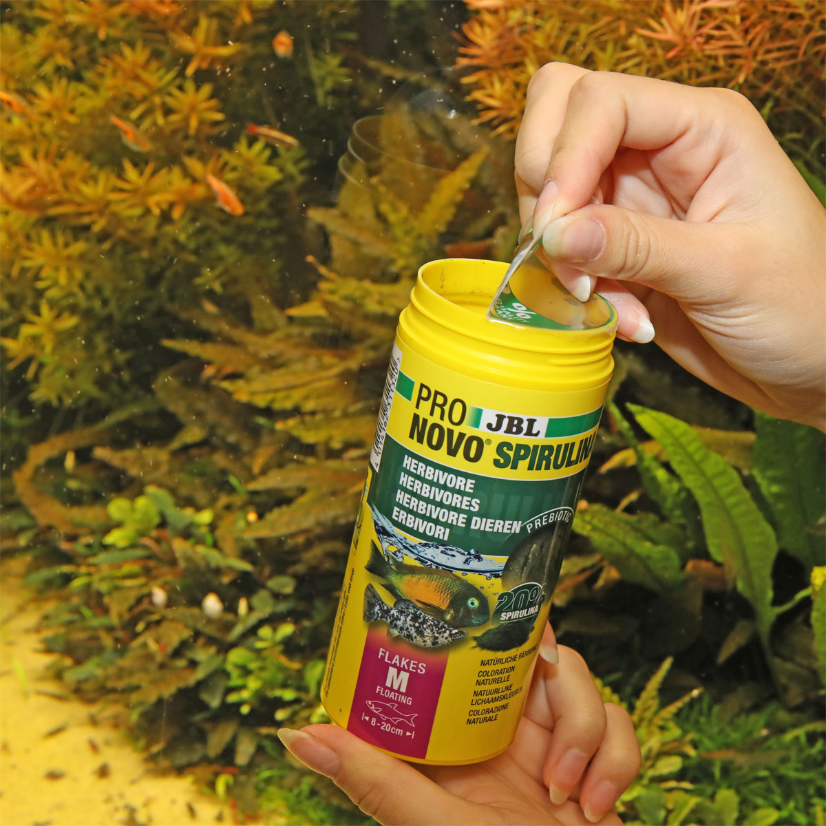 JBL  PRONOVO SPIRULINA FLAKES M 250ml Bild 3