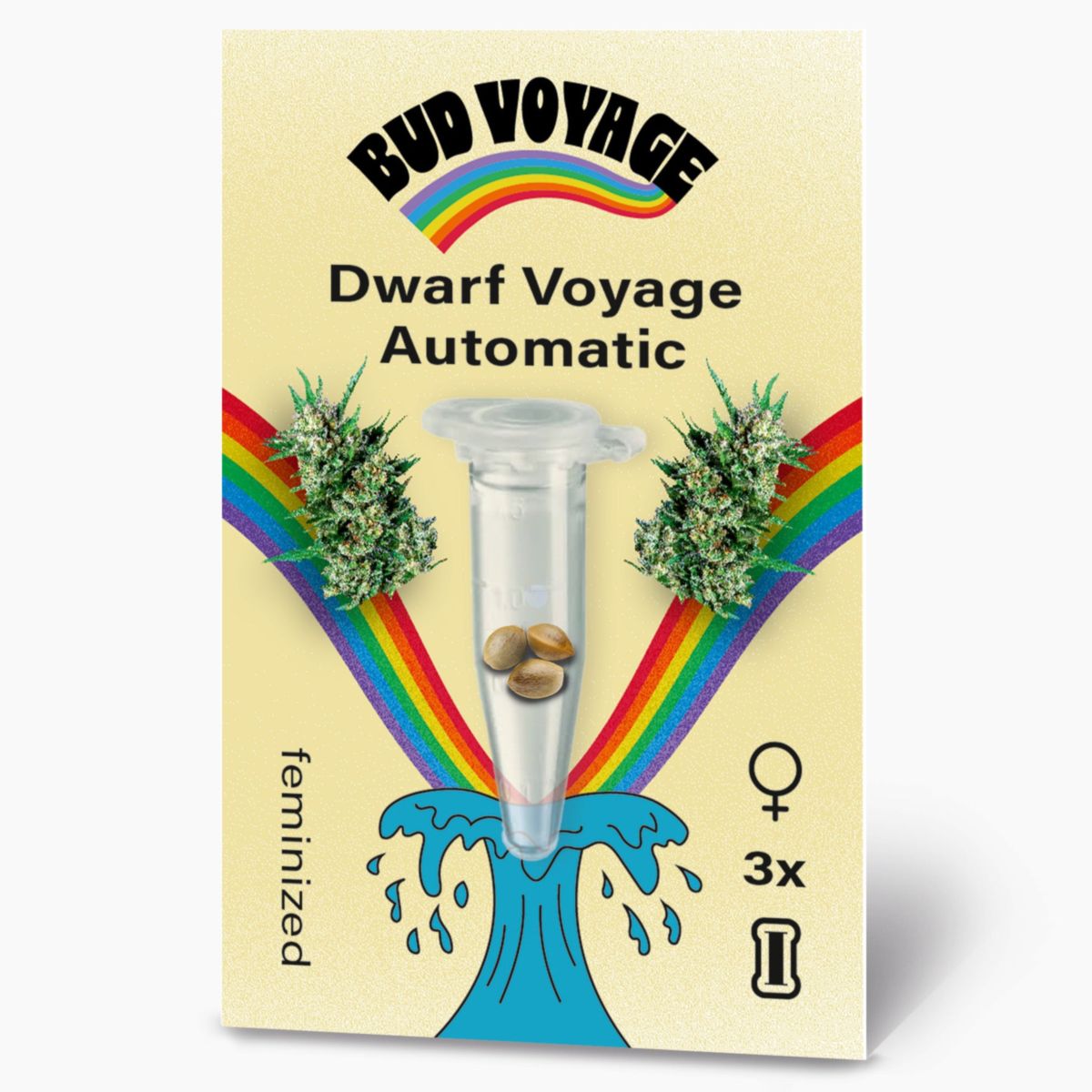 Hanfsamen BudVoyage Dwarf Auto, 3 Samen