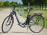 Ein E-Bike steht auf einem Weg mit Bäumen im Hintergrund.