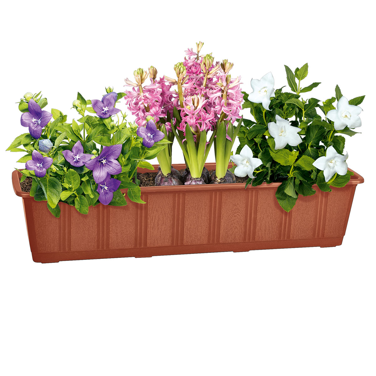 Geli Blumenkasten Aqua-Green plus braun 80 cm Bild 2