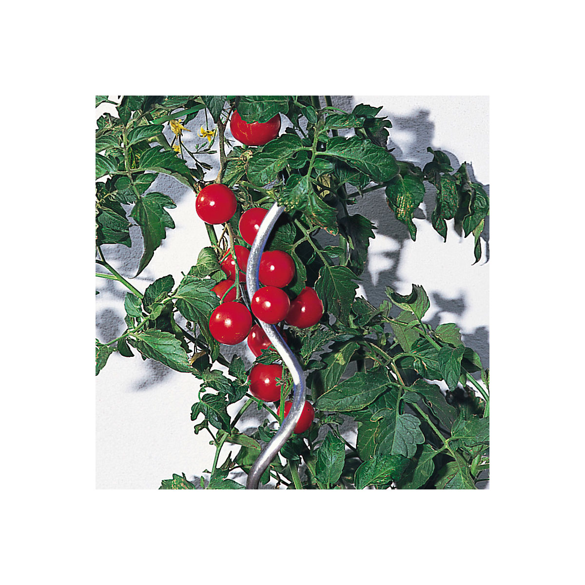 Windhager  Tomatenspiralstab 150 cm
