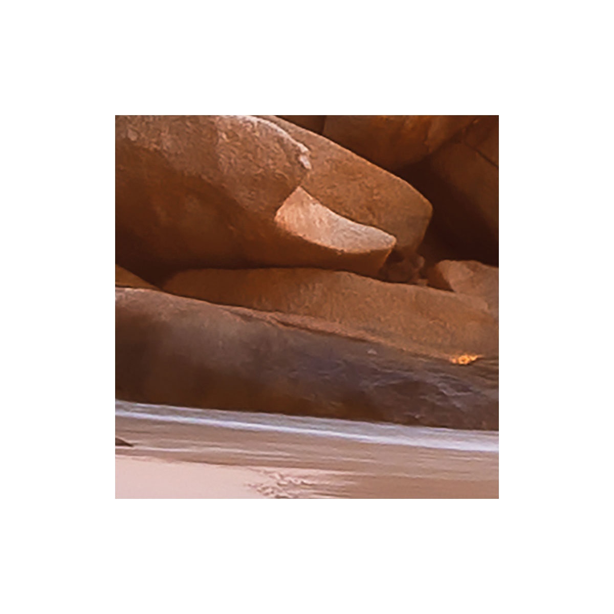 Komar  Vlies Fototapete Nature 368x248 cm Bild 8