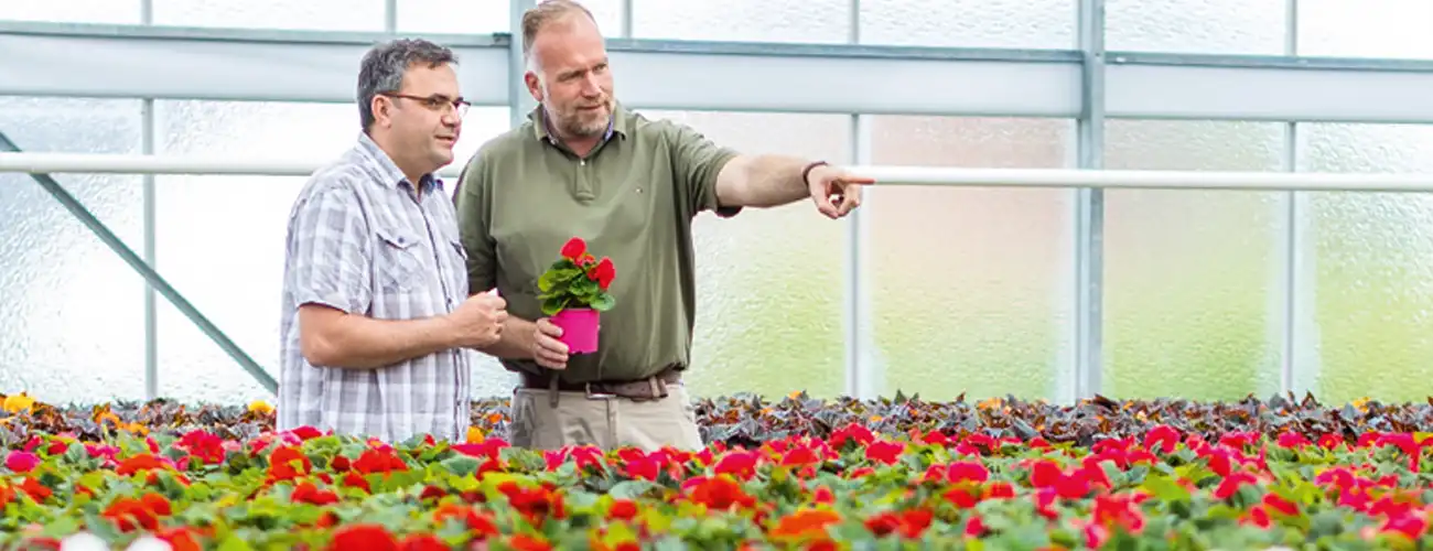 Zwei Männer betrachten Blumen in einem Gewächshaus.
