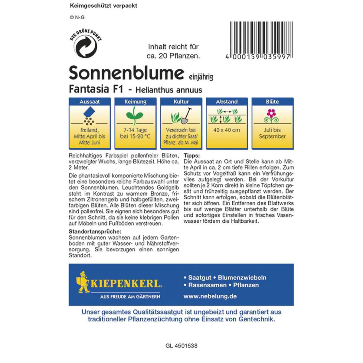 Kiepenkerl Sonnenblume Fantasia Mix Profi-Line Bild 2