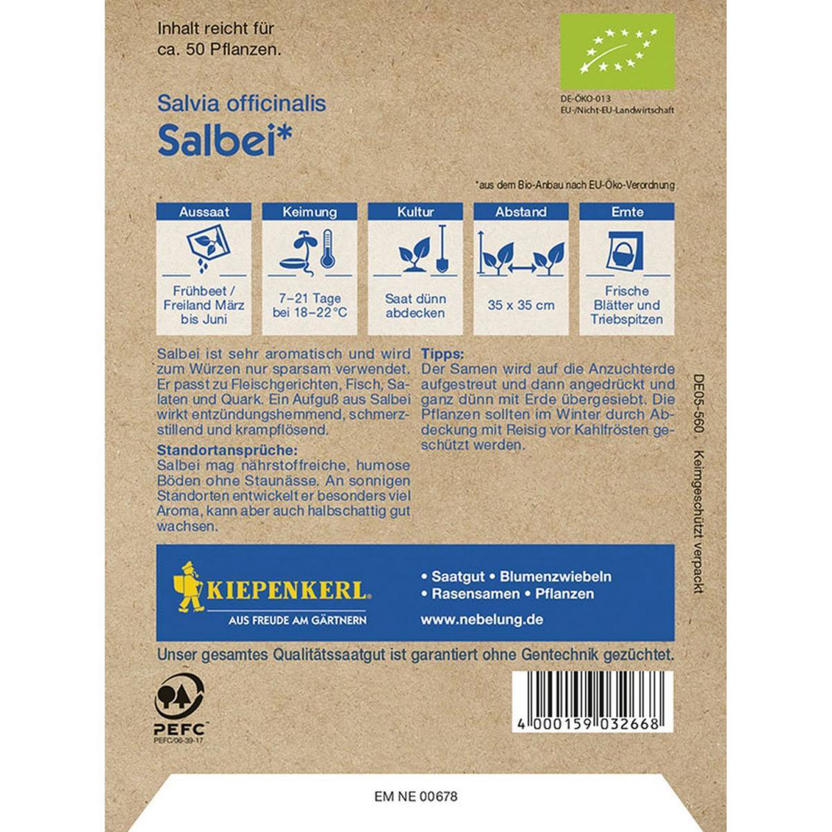 Kiepenkerl Bio-Salbei Bild 2