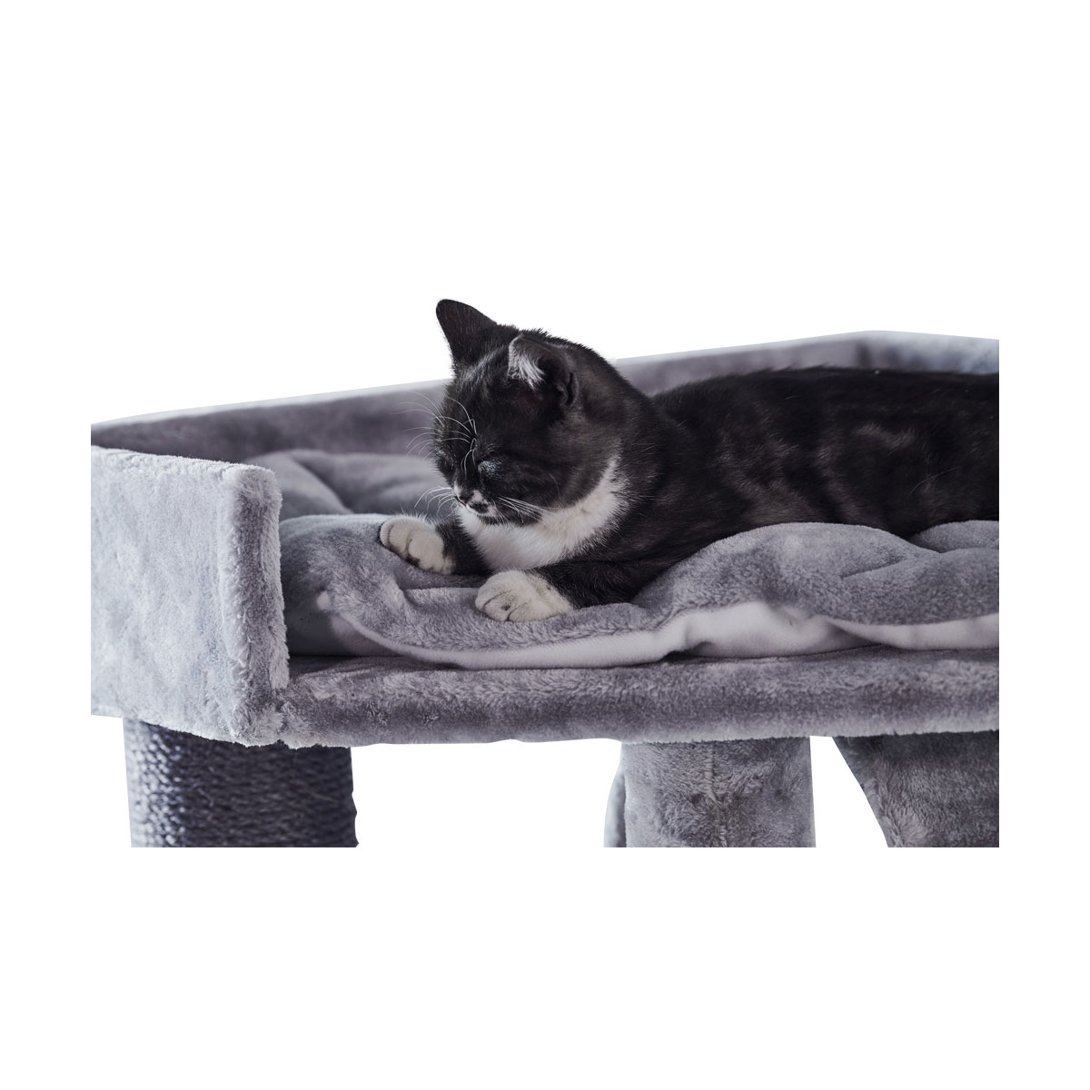 Nobby Kratzbaum ADILE grau 60 x 60 cm