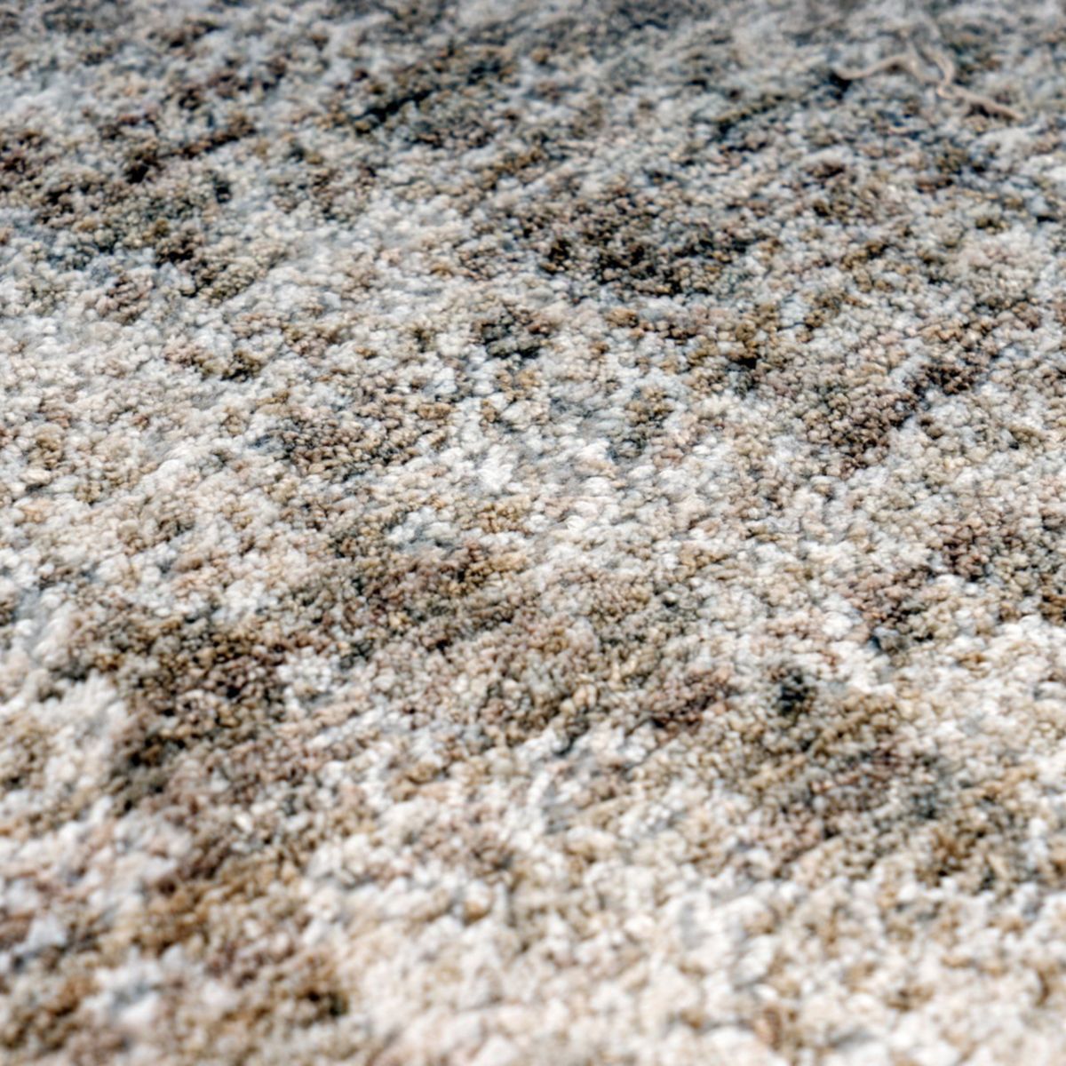 Amora 259 Creme 80cm x 150cm Bild 6