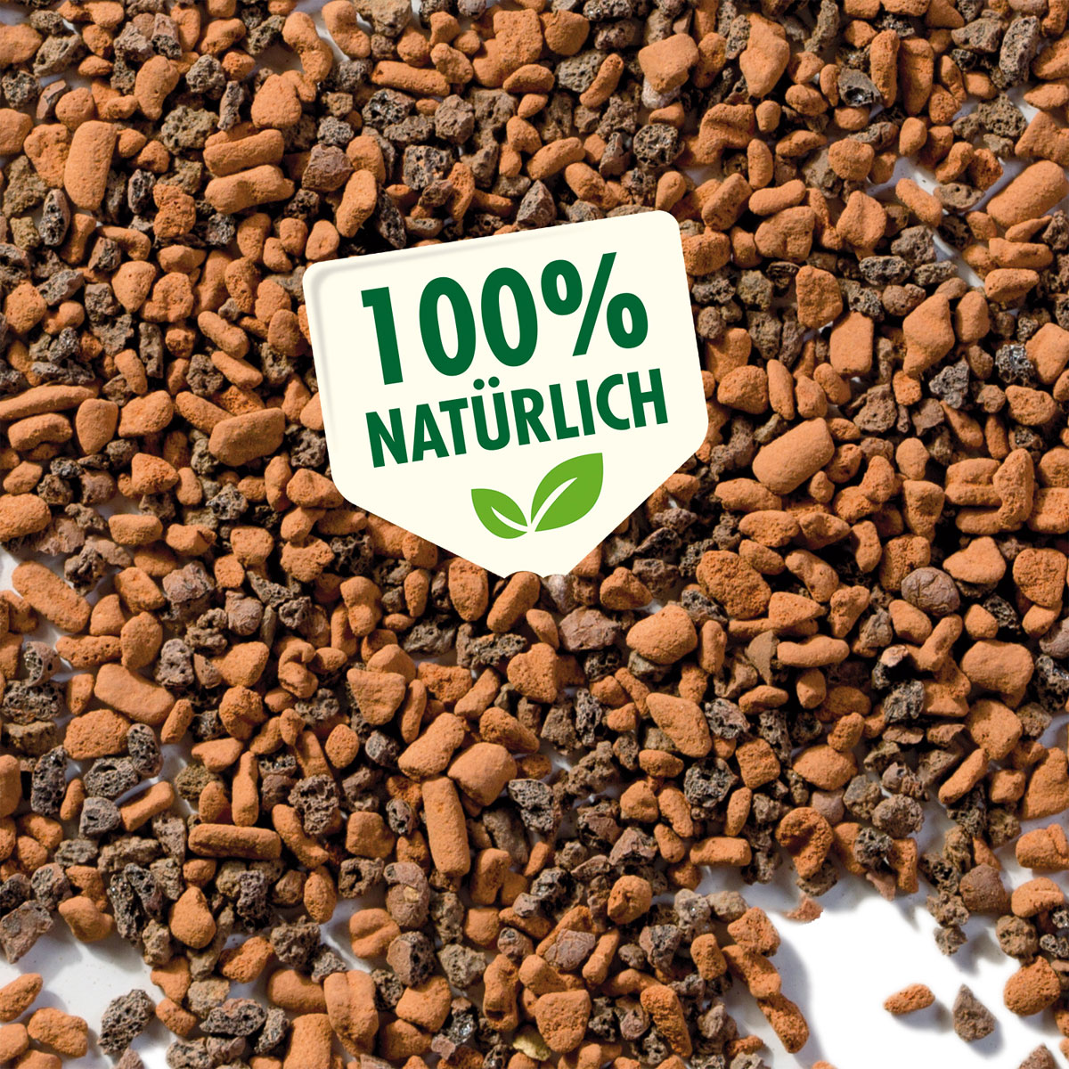 Seramis Spezial-Substrat für Kakteen/ Sukkulenten 7 L Bild 2