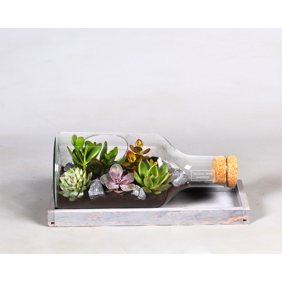 Plantiflor  Green Bottle Flasche liegend mit Succulenten 38 cm lang