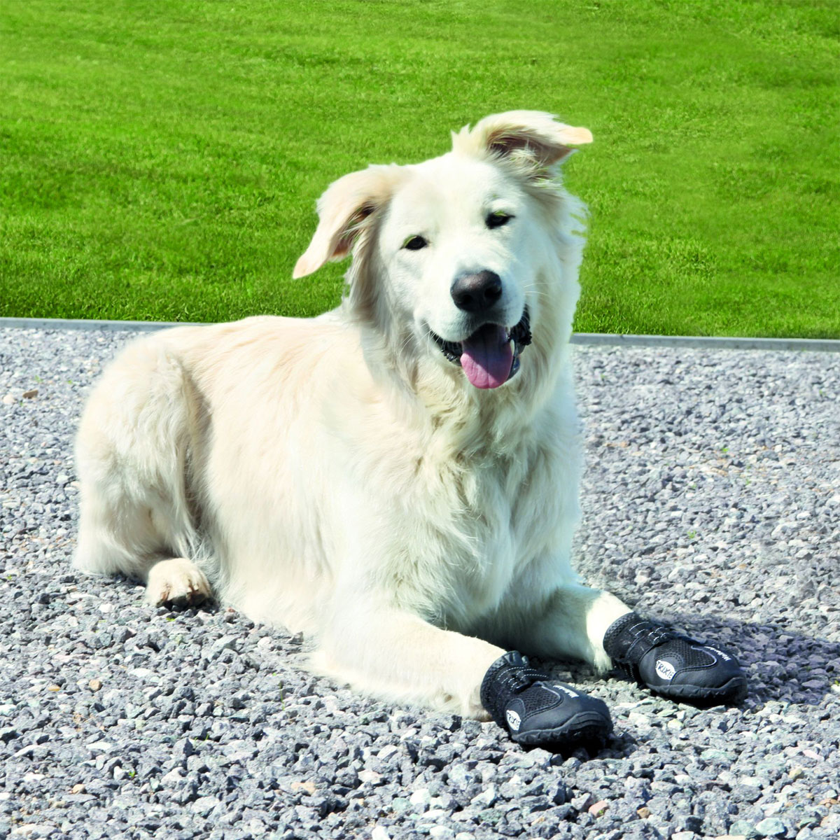 Trixie Pfotenschutz Walker Active schwarz XL 2St