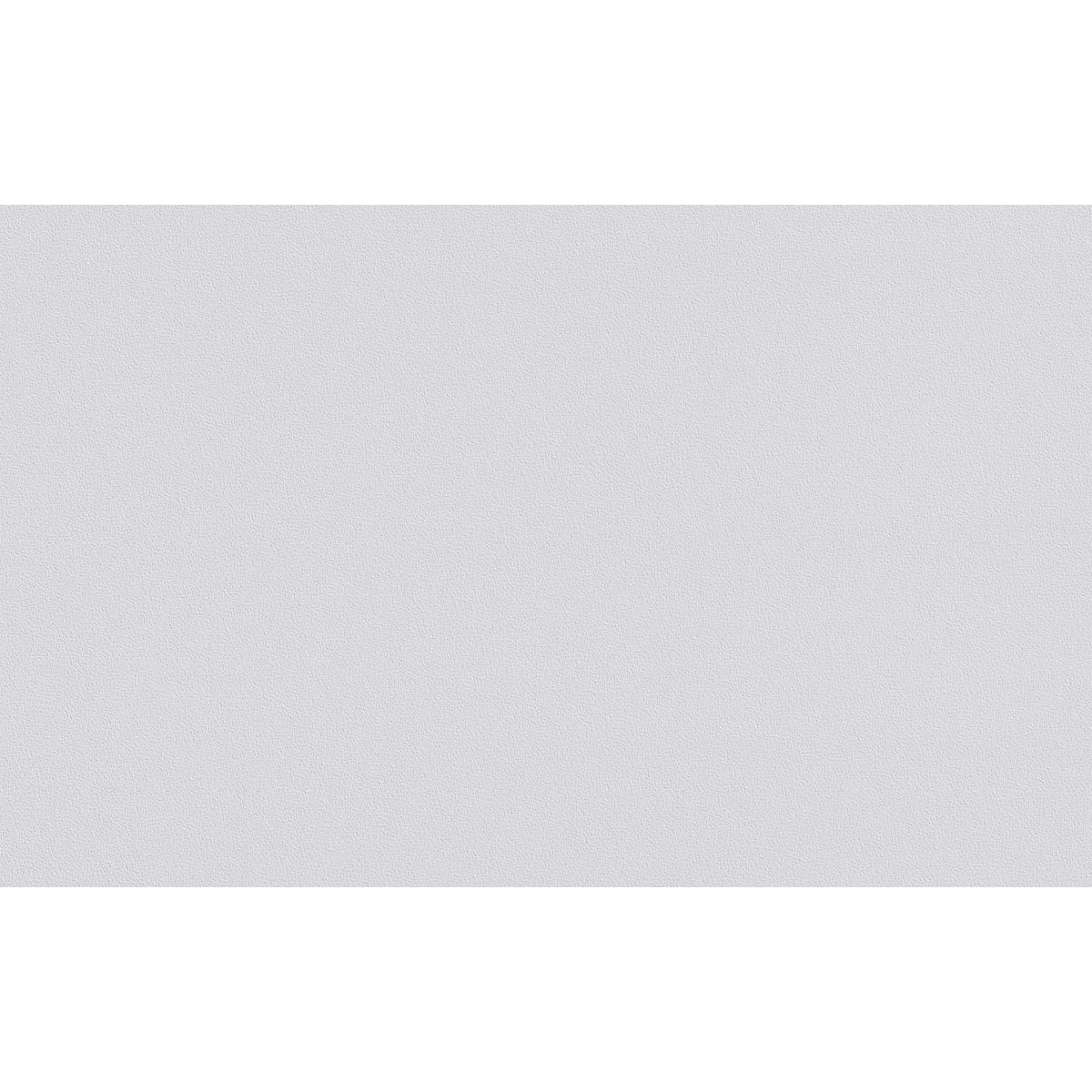 Erfurt  Vliesfaser Protect 210 weiß 1005 x 53 cm Bild 2